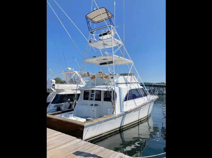Nobody Yacht Photos Pics 
