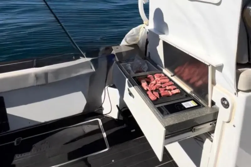 Outta Line Yacht Photos Pics Boston Whaler 315 Conquest 2017 with onboard grill cooking meat.