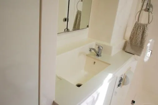 Pilar Yacht Photos Pics Bathroom sink area in a 2015 Robertson & Caine Leopard 48 yacht.