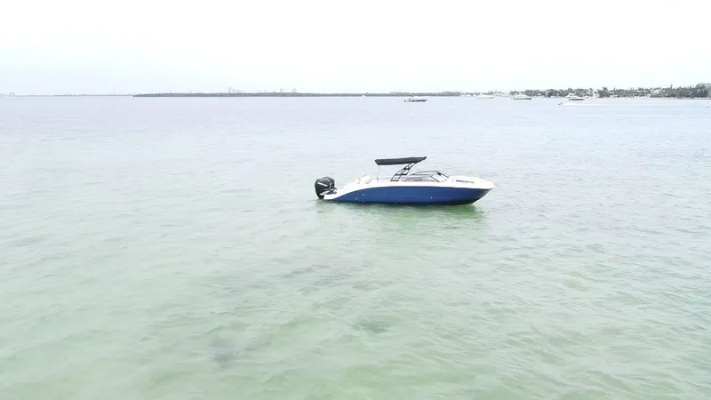  Yacht Photos Pics 2017 Sea Ray SDX 290 Outboard boat floating on calm, clear water.