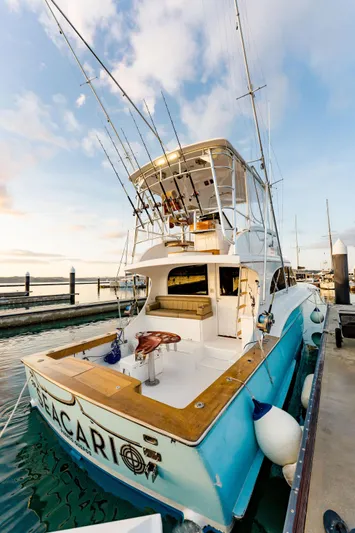 Seacario Yacht Photos Pics 2001 Custom Carolina Sportfish yacht docked, featuring fishing rods and spacious deck under a clear sky.