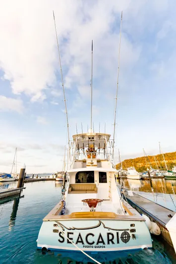 Seacario Yacht Photos Pics 