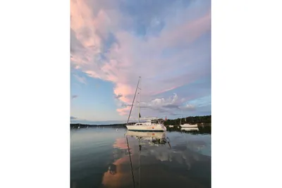 Catalina Morgan 440