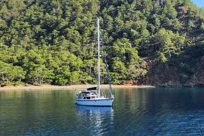 Wauquiez 43 Pilot Saloon