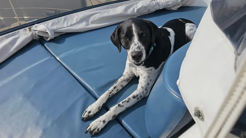 Dream Team Xiii Yacht Photos Pics 