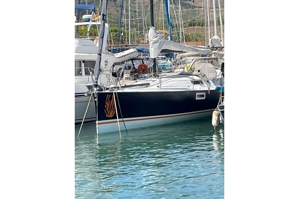 2010 Pogo Pogo 10.50