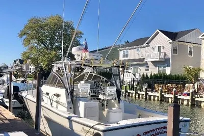 Shamrock 290 Walkaround