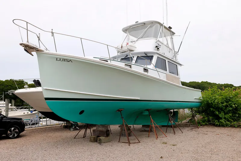 Luisa Yacht Photos Pics 