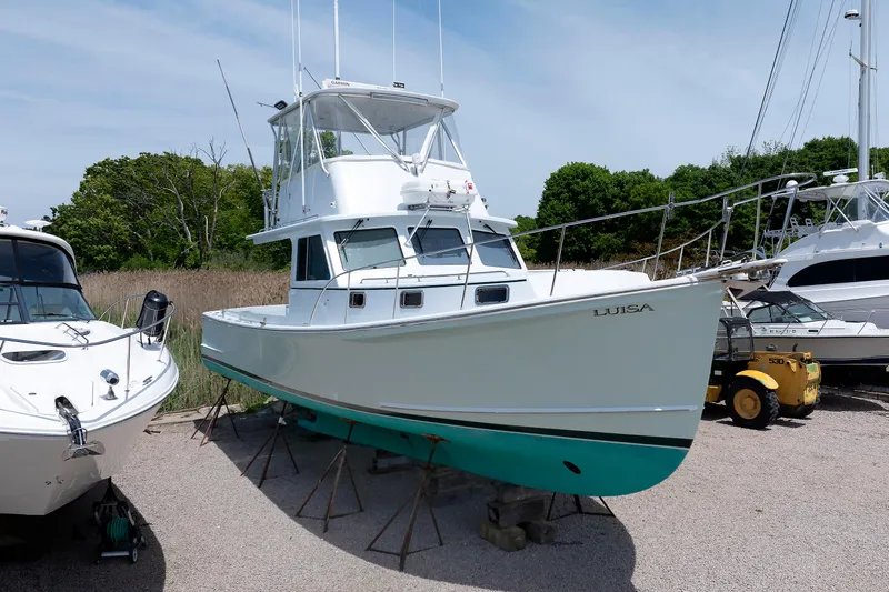 Luisa Yacht Photos Pics 