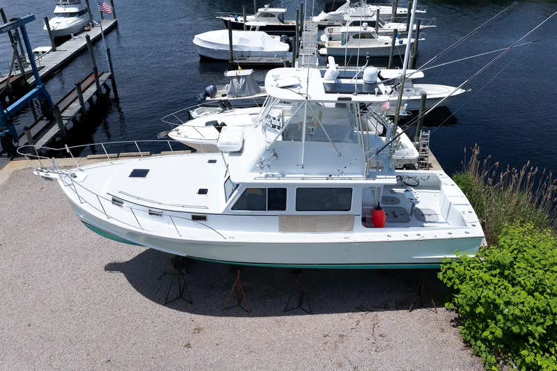 Luisa Yacht Photos Pics 