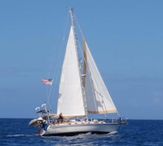 1997 Caliber 40 LRC
