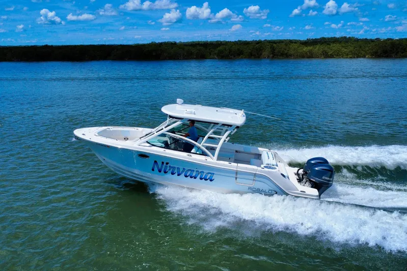  Yacht Photos Pics 2019 Robalo R317 Dual Console boat cruising on a sunny day.