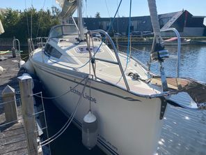 2013 Delphia 31