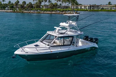 Everglades 350LX