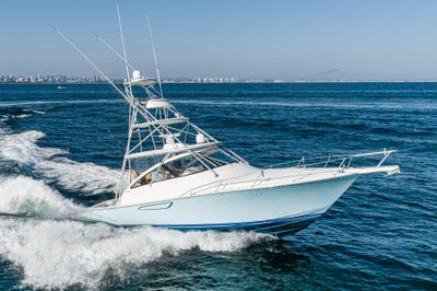 Viking 42 Open