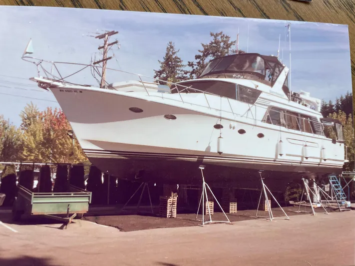 Wind Star Yacht Photos Pics 