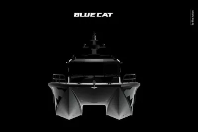 BlueCat 43