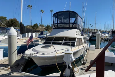 Phoenix 29 Convertible