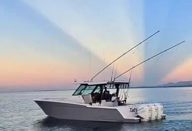 Bertram 39 CC