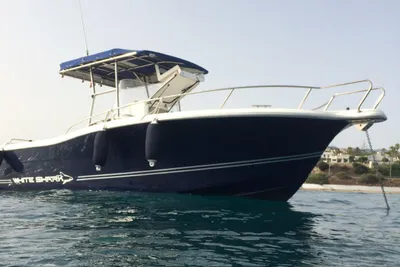 White Shark 265