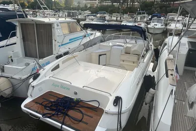 2010 Fiart 27