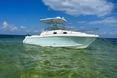 2015 Robalo R305 Walkaround