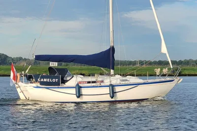 1980 Nicholson Nicholson 31