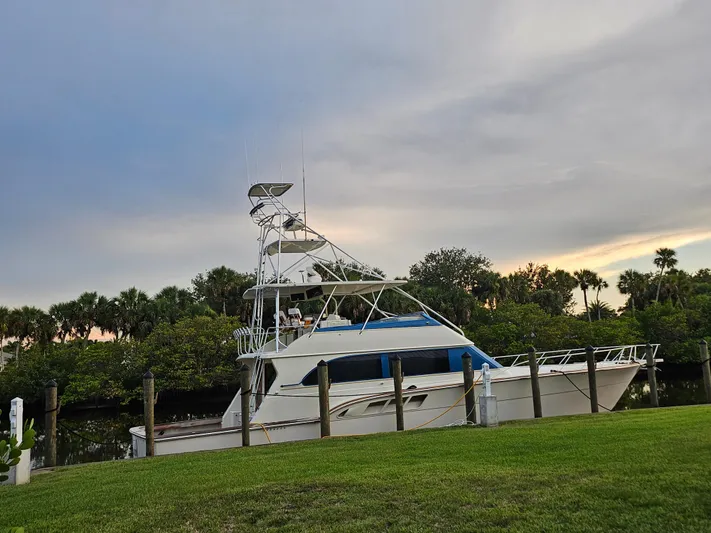  Yacht Photos Pics 1991 Donzi 65 Sportfisherman yacht docked near lush greenery at sunset.
