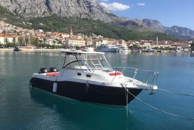 Boston Whaler 305