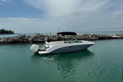 Sea Ray SDX 250 Outboard