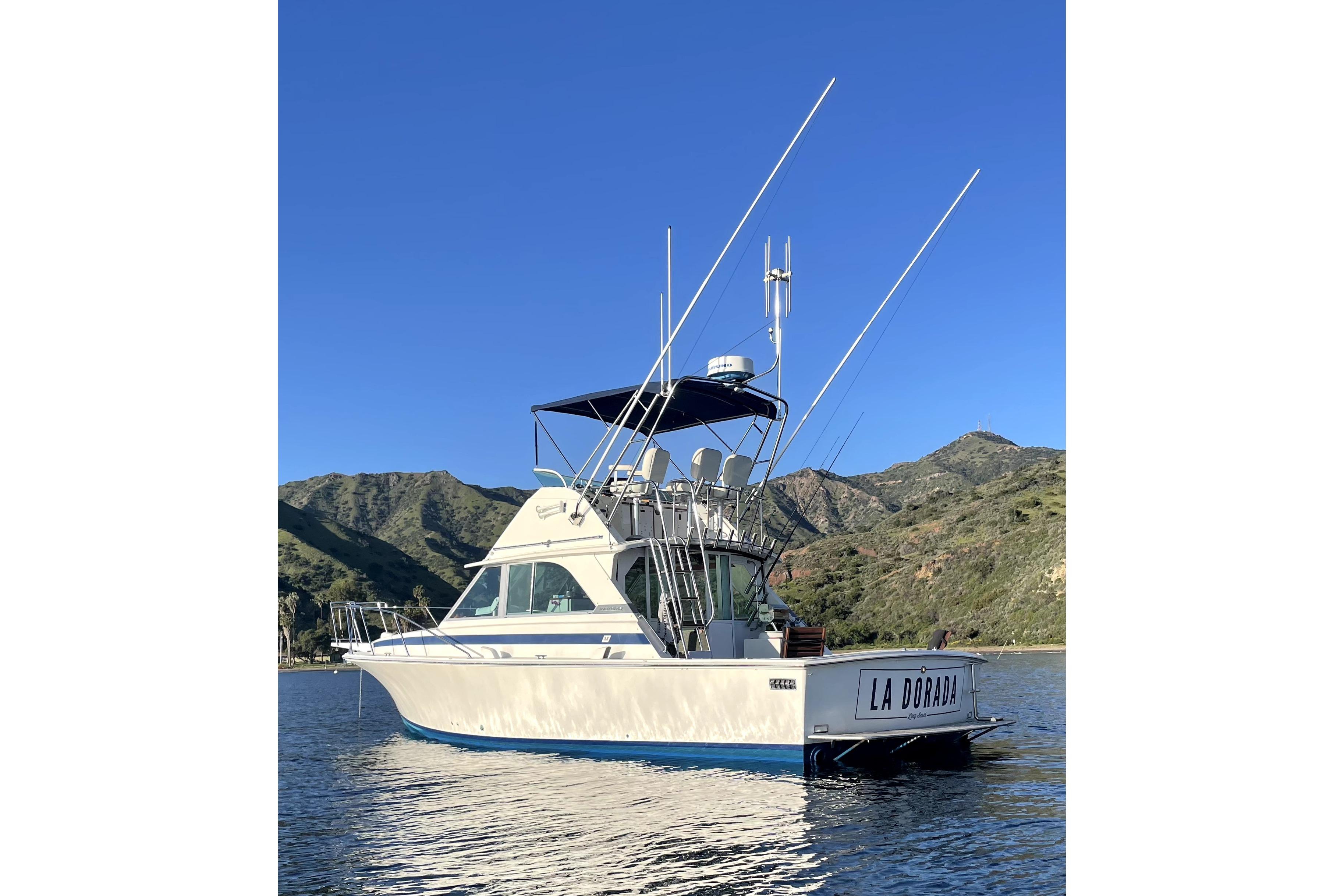 Bertram 35 Flybridge