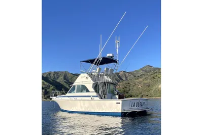 Bertram 35 Flybridge