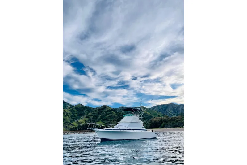 La Dorada Yacht Photos Pics 1980 Bertram 35 Flybridge at Whites Landing.