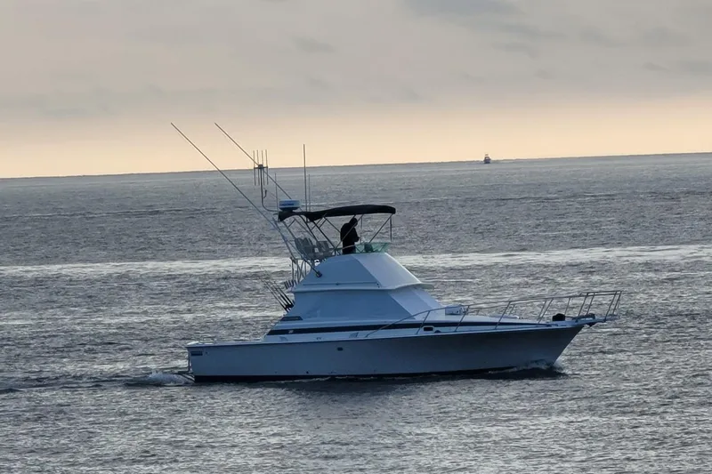 La Dorada Yacht Photos Pics Tournament ready.