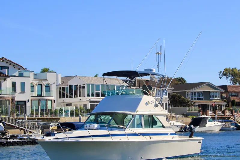 La Dorada Yacht Photos Pics 1980 Bertram 35 Flybridge yacht cruising near waterfront homes under clear blue sky.