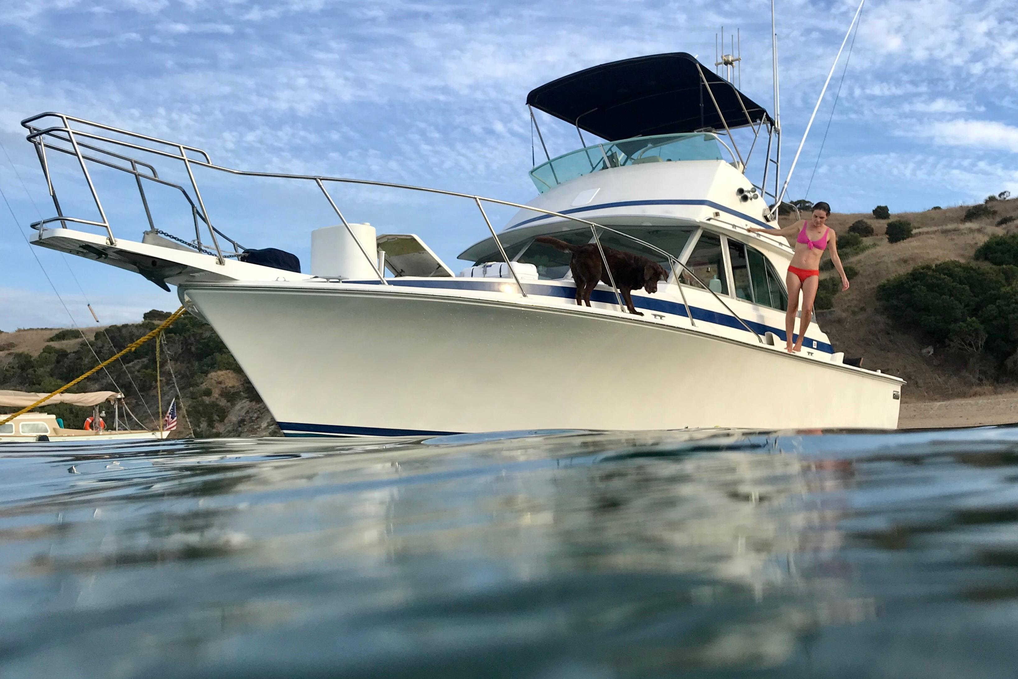 Bertram 35 Flybridge