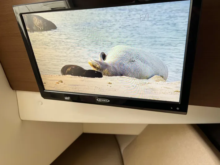  Yacht Photos Pics TV screen displaying seals on a beach inside a 2016 Sea Ray 350 SLX boat.