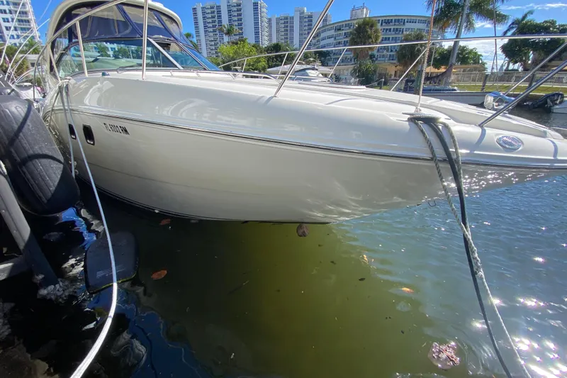  Yacht Photos Pics 2008 Sea Ray Sundancer 330 docked, with cityscape and palm trees in the background.