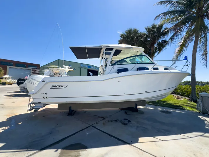 Pearl Yacht Photos Pics 2018 Boston Whaler 315 Conquest boat on display, sunny day, palm trees in background.
