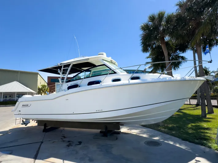 Pearl Yacht Photos Pics 2018 Boston Whaler 315 Conquest boat displayed outdoors with palm trees in the background.