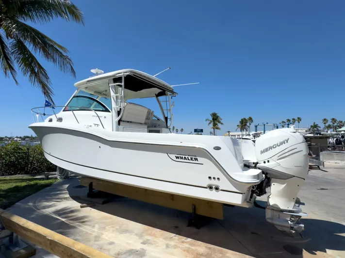 Pearl Yacht Photos Pics 2018 Boston Whaler 315 Conquest boat on display, sunny day, palm trees in background.