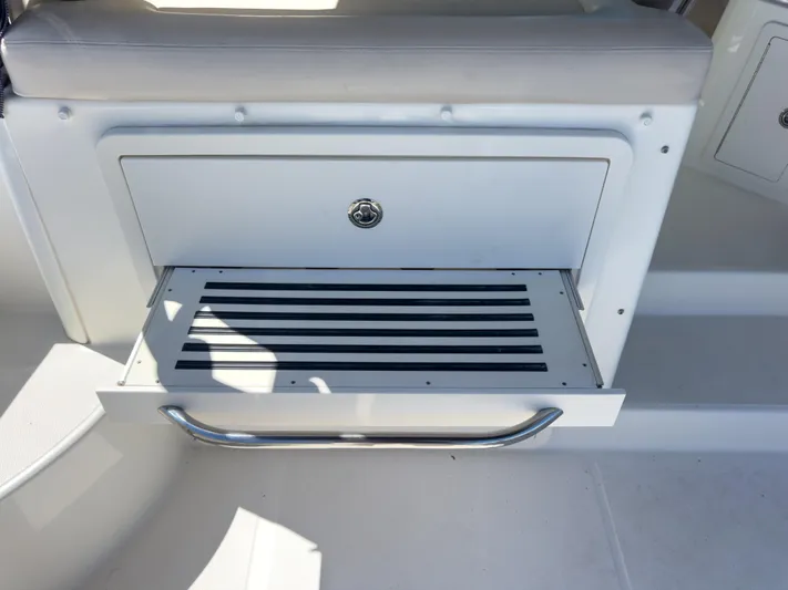 Pearl Yacht Photos Pics 2018 Boston Whaler 315 Conquest storage compartment with pull-out tray and handle.