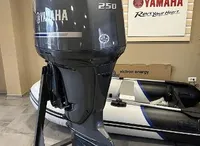 2009 Yamaha Outboards FL250AETX