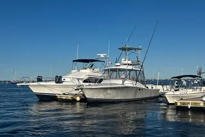 Luhrs 32 Open