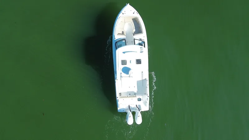  Yacht Photos Pics 2019 EVERGLADES 340 DC - Image 8