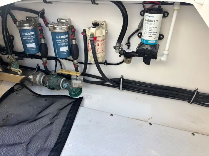  Yacht Photos Pics 2019 EVERGLADES 340 DC - Image 66