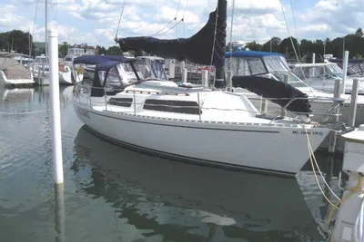 Freedom 29