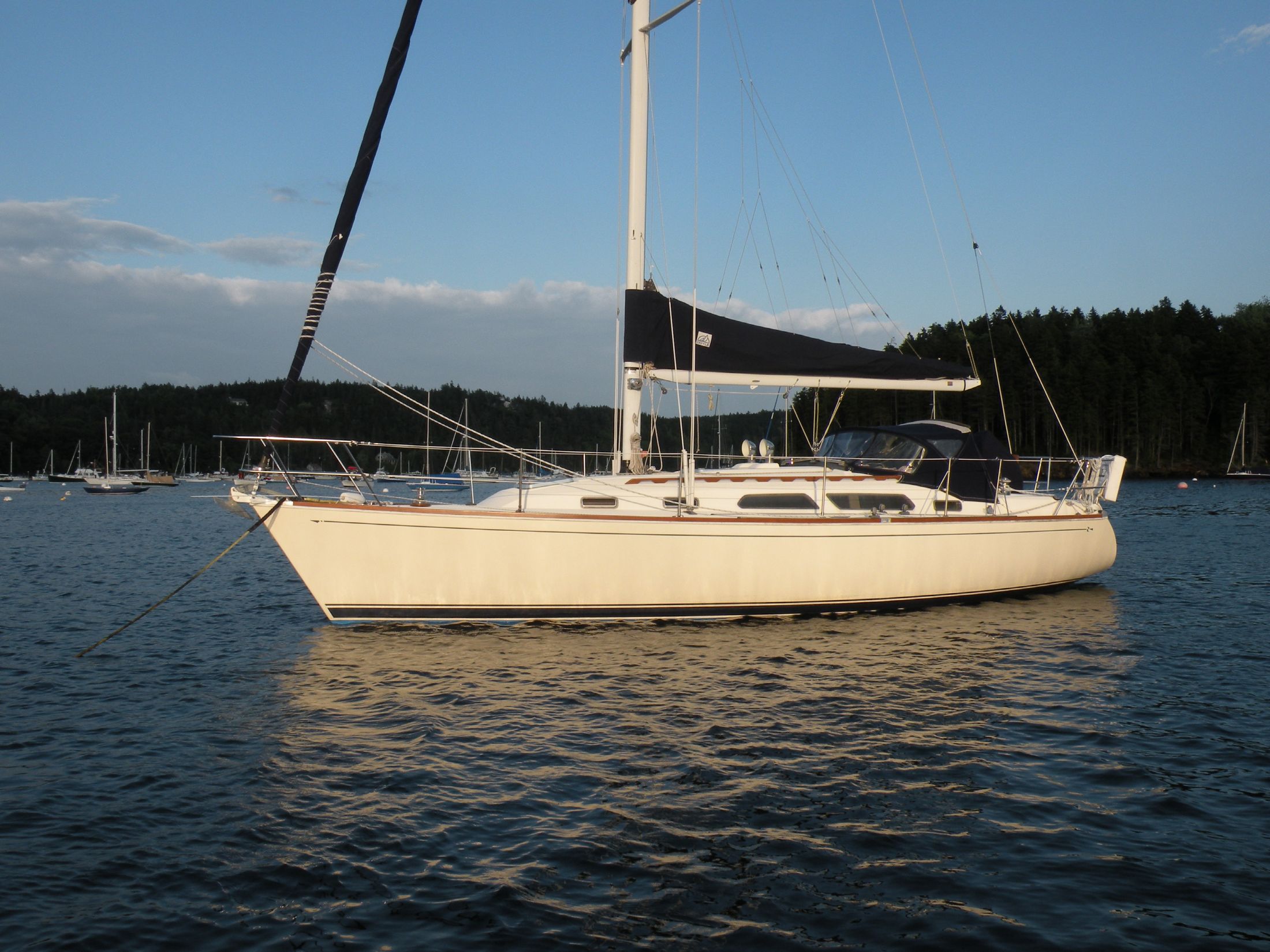 1994 Sabre 362 Cruiser for sale YachtWorld