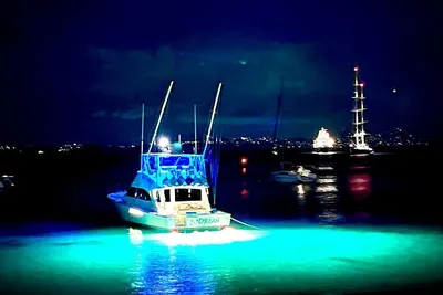 Viking 54 Convertible