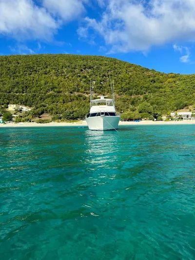  Yacht Photos Pics 2010 Viking 54 Convertible yacht anchored in clear turquoise waters near a lush green island.